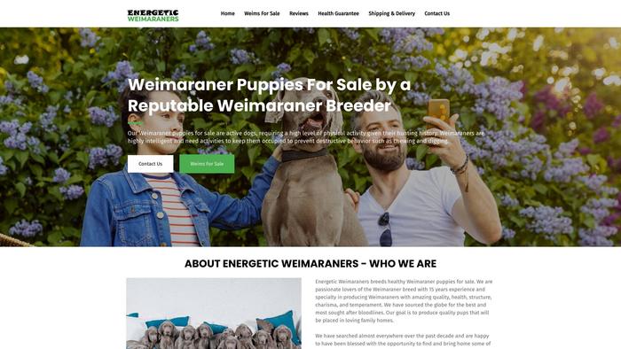 Energeticweimaraners.com - Weimaraner Puppy Scam Review