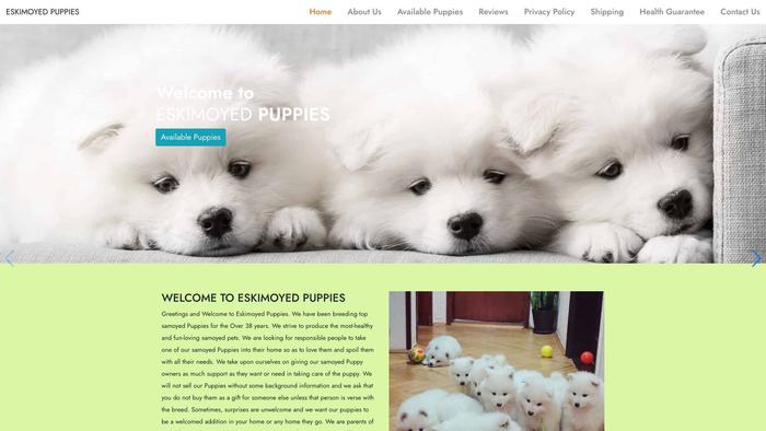 Eskimsamoyedpuppies.com - Samoyed Puppy Scam Review