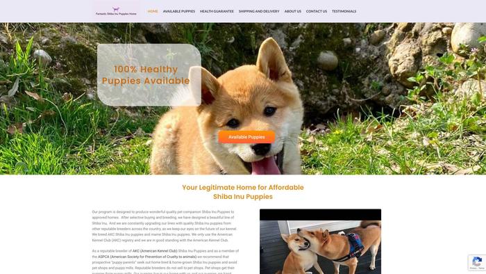 Fantasticshibainupuppies.com - Shibhainu Puppy Scam Review