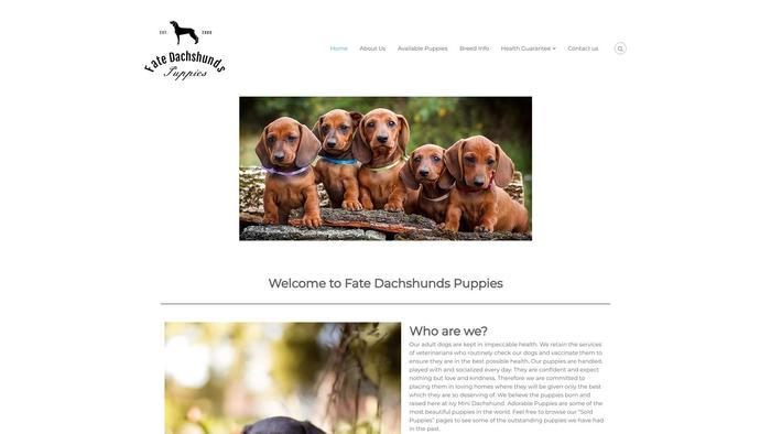 Fatedachshundpuppies.com - Dachshund Puppy Scam Review