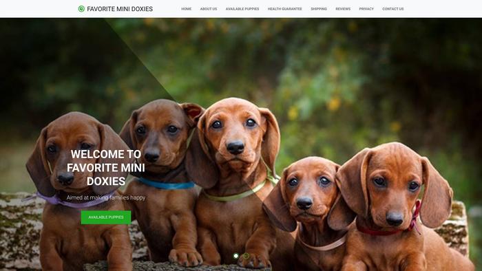 Favoriteminidoxies.com - Dachshund Puppy Scam Review