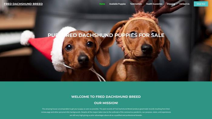 Freddachshundbreed.com - Dachshund Puppy Scam Review