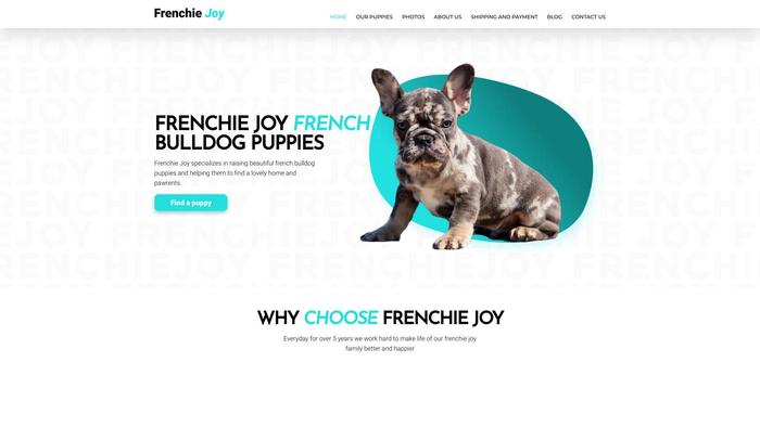 Frenchie-joy.com - French Bulldog Puppy Scam Review