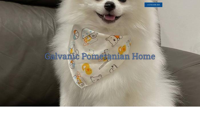 Galvanicpomeranianhome.com - Pomeranian Puppy Scam Review