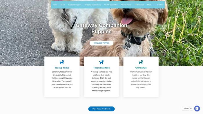 Gatewaycompanionpuppies.com - Dachshund Puppy Scam Review