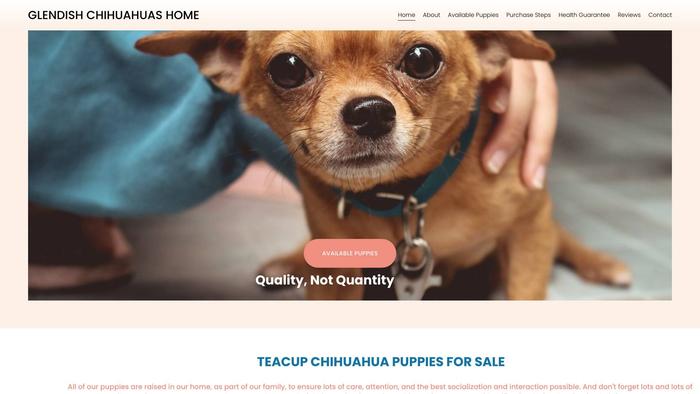 Glendishchihuahuas.com - Chihuahua Puppy Scam Review