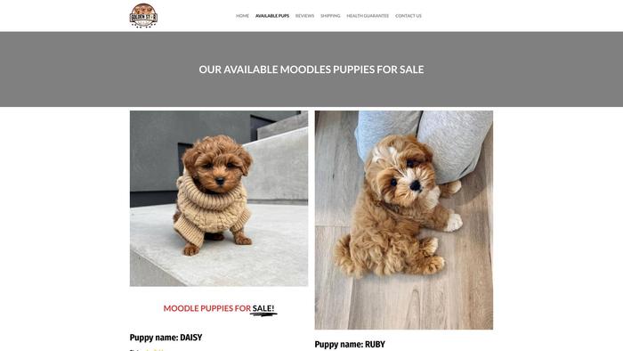 Goldenmoodlepups.com - Golden Doodle Puppy Scam Review