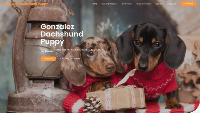 Gonzalezdachshundpuppy.com - Dachshund Puppy Scam Review