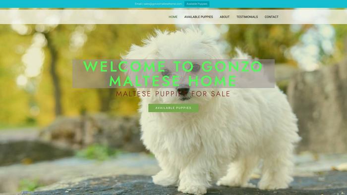 Gonzomaltesehome.com - Maltese Puppy Scam Review