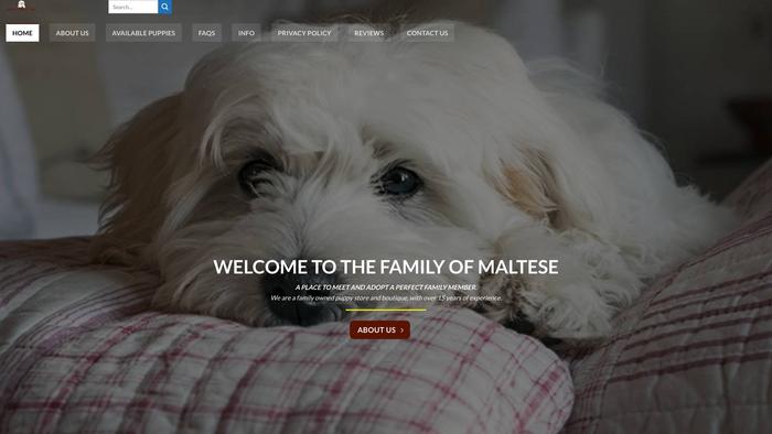 Gorgeousmaltesehome.com - Maltese Puppy Scam Review