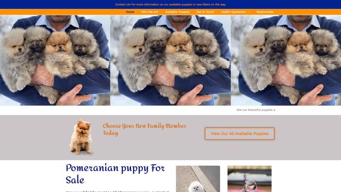 Gototeacuppom.com - Yorkshire Terrier Puppy Scam Review