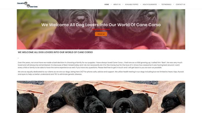 Gracefulcanecorsopuppies.com - Cane Corso Puppy Scam Review