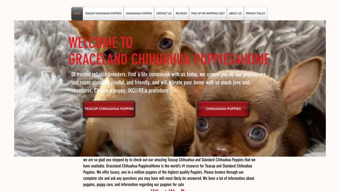 Gracelandchihuahuahome.com - Chihuahua Puppy Scam Review