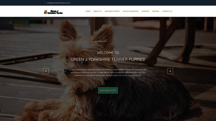 Greenjyorkshireterrier.com - Terrier Puppy Scam Review