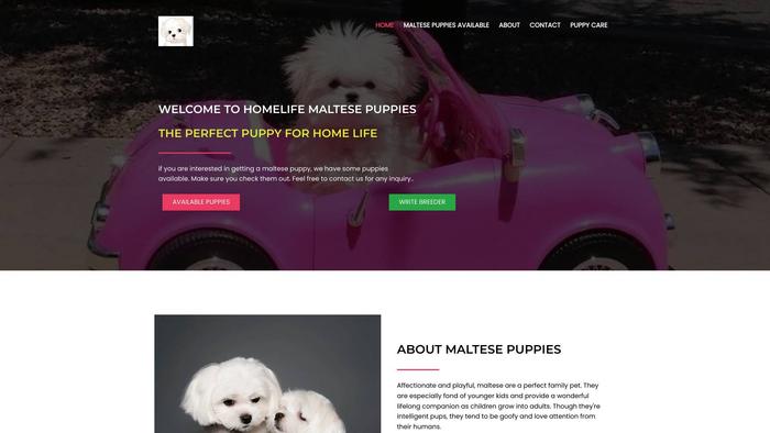 Homelifemaltesepuppies.com - Maltese Puppy Scam Review