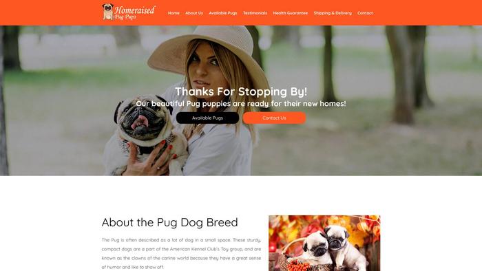 Homeraisedpugpups.com - Pug Puppy Scam Review