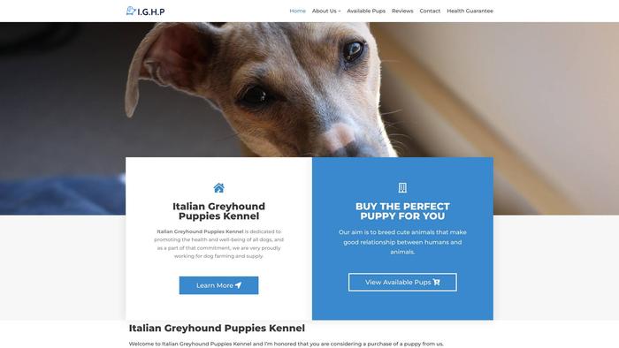 Italiangreyhoundpuppieskennel.com - Labrador Puppy Scam Review