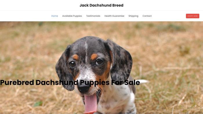 Jackdachshundbreed.com - Dachshund Puppy Scam Review