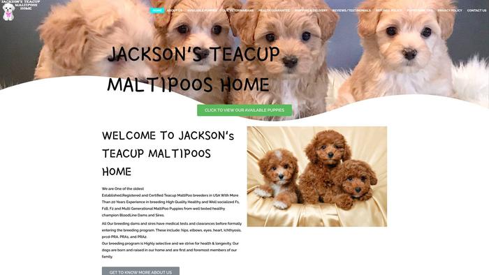 Jacksonsmaltipooshome.us - Maltipoo Puppy Scam Review