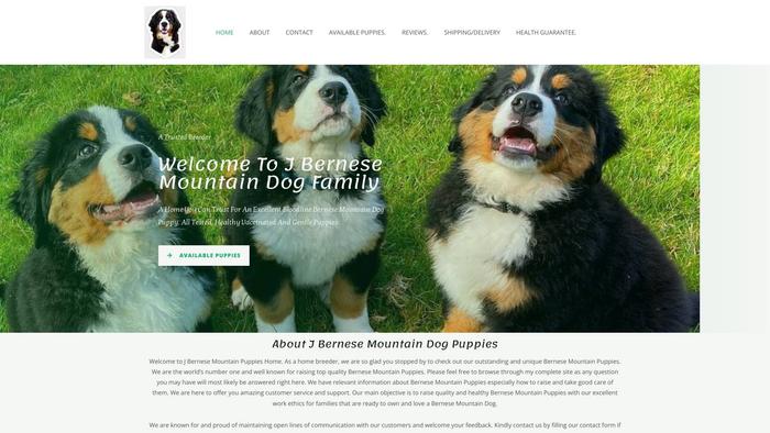 Jobernesemo.com - Bernese Mountain Dog Puppy Scam Review