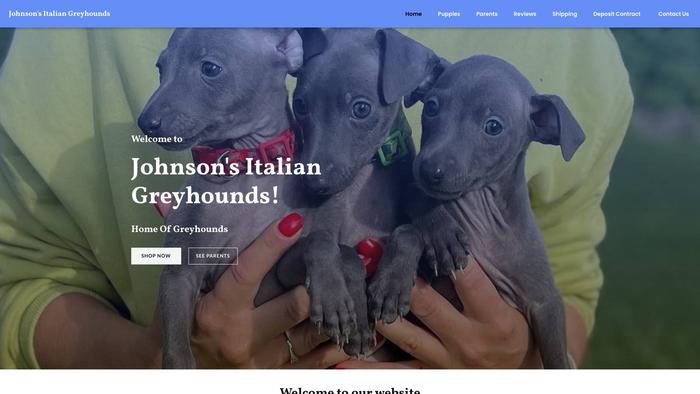 Johnsonitaliangreyhounds.com - Labrador Puppy Scam Review