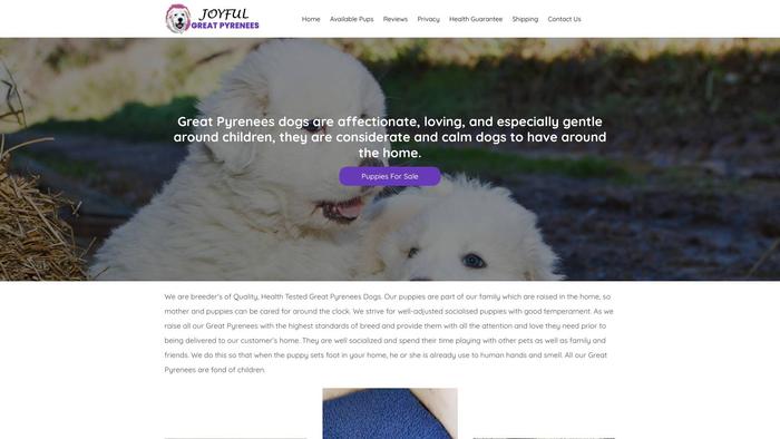 Joyfulgreatpyrenees.com - Saint Bernard Puppy Scam Review