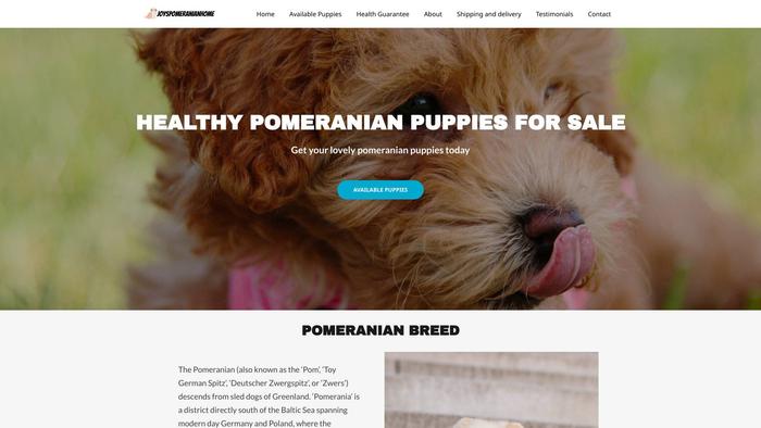 Joyspomeranianhome.com - Pomeranian Puppy Scam Review