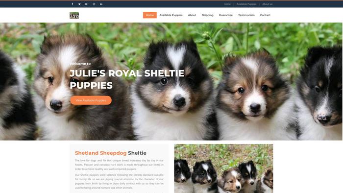 Julieroyalsheltiepuppies.com - Sheltie Puppy Scam Review