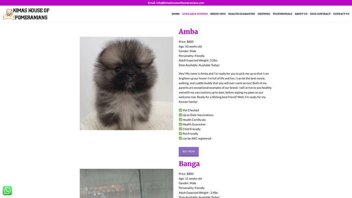 Kimashouseofpomeranians.com - Pomeranian Puppy Scam Review