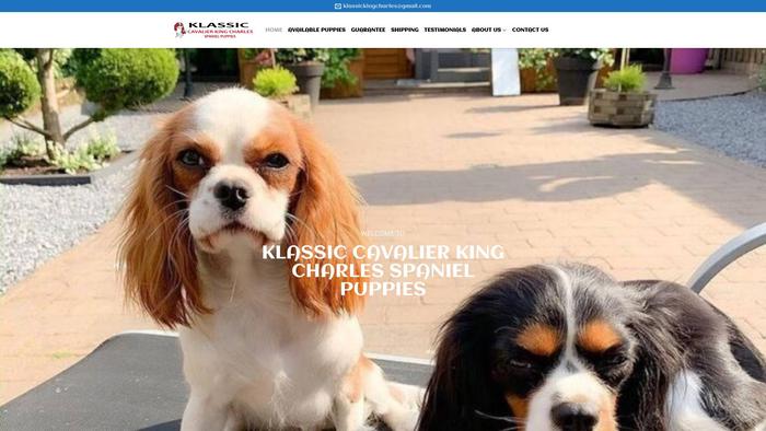 Klassickingcharles.com - Cavalier King Charles Spaniel Puppy Scam Review