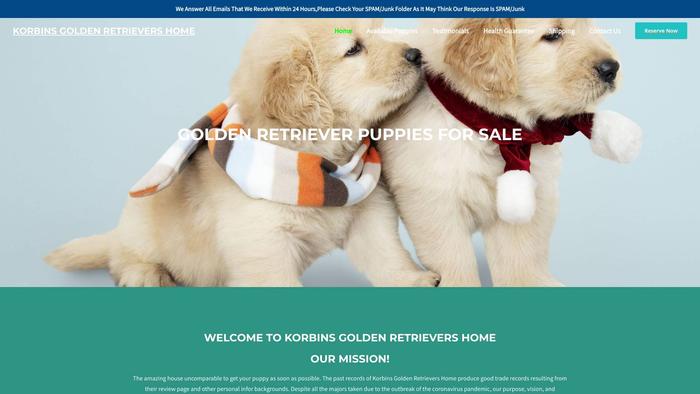 Korbinsgoldenretrievershome.com - Golden Retriever Puppy Scam Review