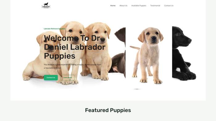 Labradorbydoctordaniel.com - Labrador Puppy Scam Review