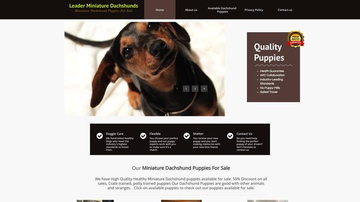 Leaderminidachshunds.com - Dachshund Puppy Scam Review