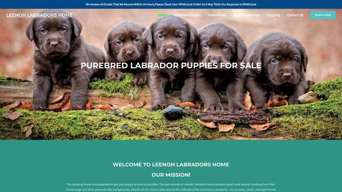 Leenohlabradorshome.com - Labrador Puppy Scam Review