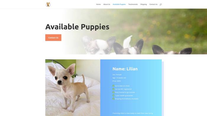 Leoteacuppuppies.com - Yorkshire Terrier Puppy Scam Review