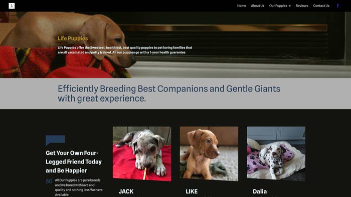 Lifeofpuppies.com - Great Dane Puppy Scam Review