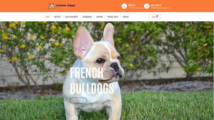 Lifetimepuppy.com - French Bulldog Puppy Scam Review