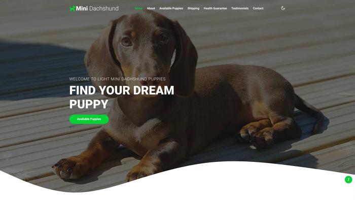 Lightminidachshundpuppies.com - Dachshund Puppy Scam Review