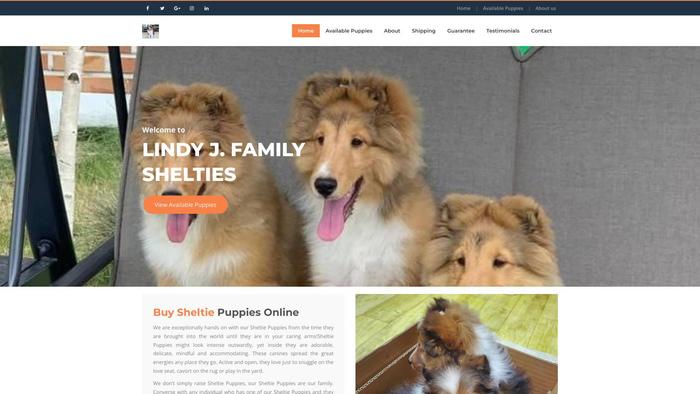 Lindyjfamilyshelties.com - Sheltie Puppy Scam Review