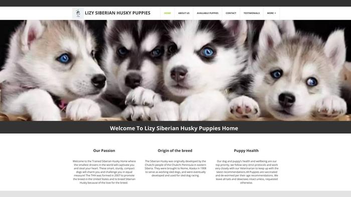 Lizyhuskypups.store - Husky Puppy Scam Review