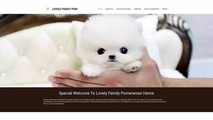 Lovelyfamilypomeranianpuppies.com - Pomeranian Puppy Scam Review