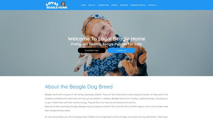 Loyalbeaglehome.com - Beagle Puppy Scam Review