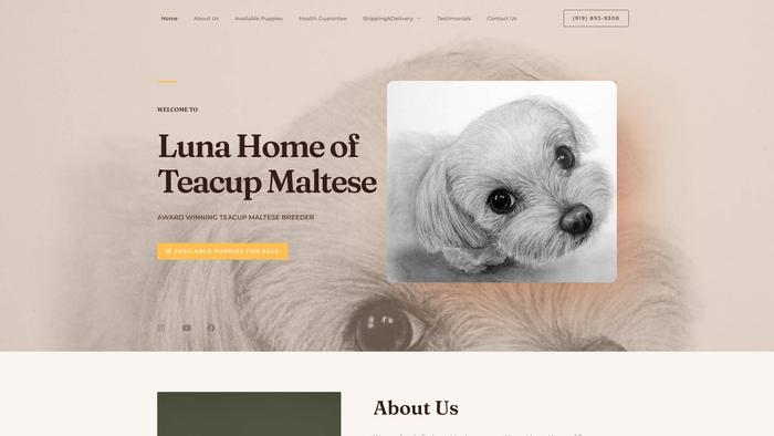 Lunahomeofteacupmaltese.com - Maltese Puppy Scam Review