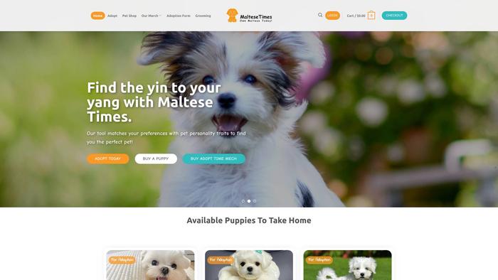 Maltesetimes.com - Maltese Puppy Scam Review