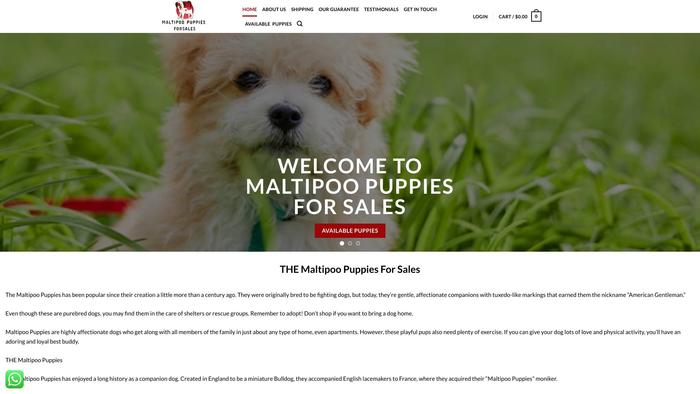 Maltipoopuppiesforsales.com - Maltipoo Puppy Scam Review