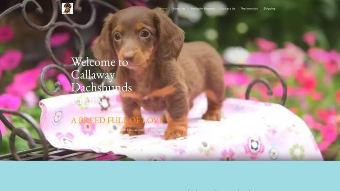 Mekydachshunds.com - Dachshund Puppy Scam Review