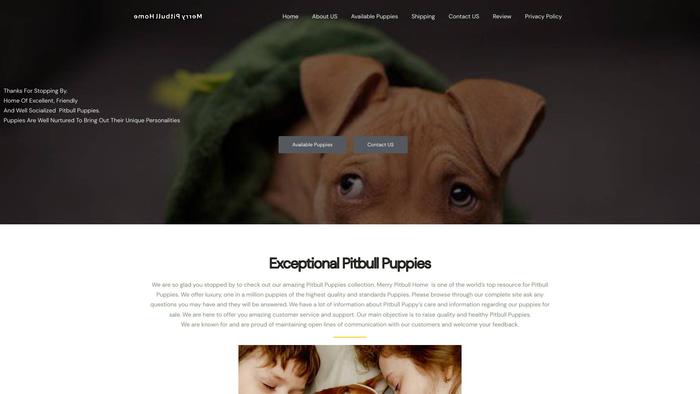 Merrypitbullhome.com - Pit Bull Puppy Scam Review