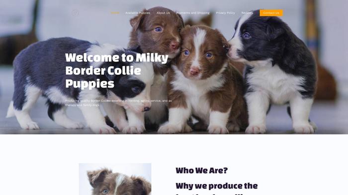 Milkybordercollies.com - Bordercollie Puppy Scam Review