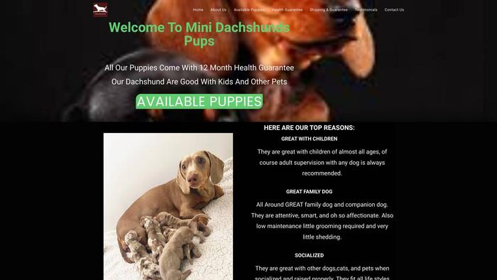 Minidachshundspups.com - Dachshund Puppy Scam Review