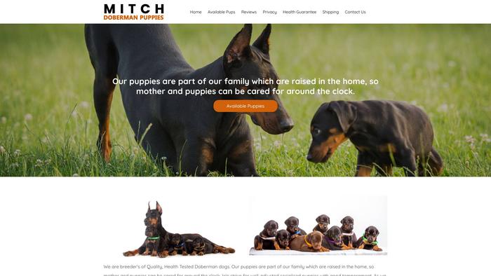 Mitchdobermanpuppies.com - Doberman Pinscher Puppy Scam Review